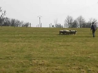 Ghost entrainement troupeau le 24/03/2012