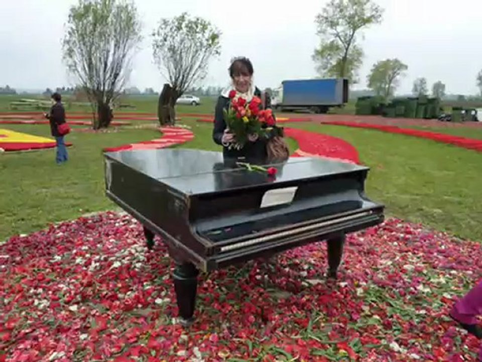 TULIPANOWE kobierce ...