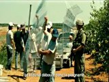Les citronniers - Bande annonce