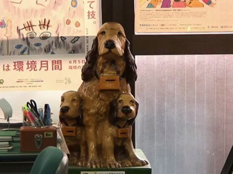 Japon: les cafés à chats menacés de fermeture