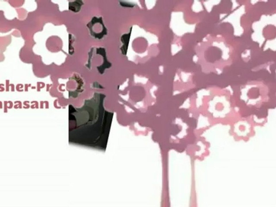 Top Deal Review - Fisher-Price Papasan Cradle Swing