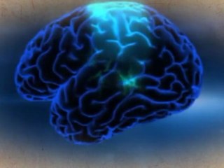 Empatia i neurones espill: Les emocions son contagioses (Marco Iacoboni)