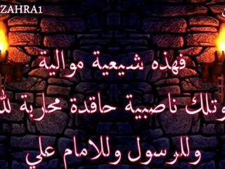 عائشة كافرة وقتالها حلال ويوجب دخول الجنة - عمرو خالد