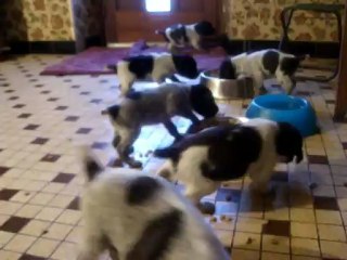 LES BEBES LE 17 AVRIL 2012