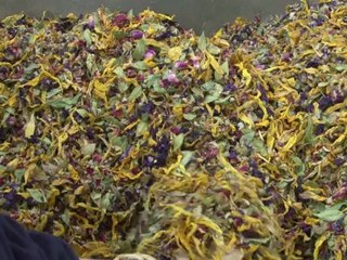 عطار ايطالي يحتفي بالذكرى المئوية الرابعة على تأسيسه