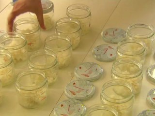 Expérience: Lazarus relève le défi