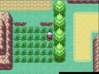 nuzlocke challenge  vret feuille ( 2 )