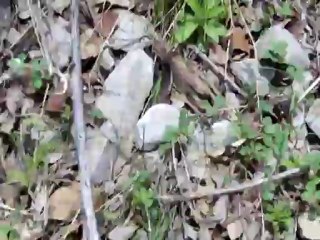 DİYARBAKIR ÇÜNGÜŞ KARAKAYAKÖYÜ