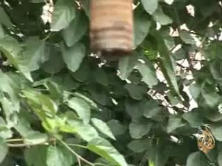 اليمن من أكثر البلدان تعرضا للجفاف ونقص المياه