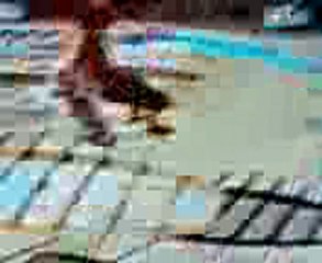 gro beug de réapparition dans skate