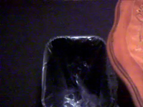 Online Resume Samples Instructions & Resume Services