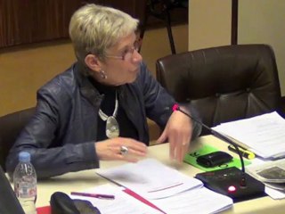 Présentation du PLUH par Martine David et Olivier Brachet lors du conseil du 16 avril 2012