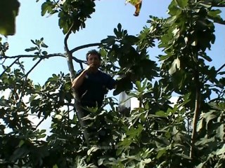 Kus kus Gümüsova-Bolu- yillar gecerken- Mehmet Kalyon 2012