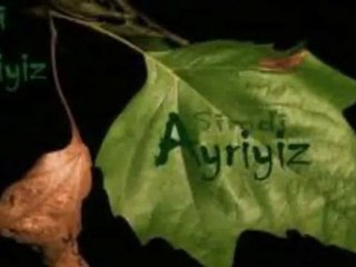 Ahmet Özhan -- Tek Kurşun ( Kıymetini bilemedik sevginin )