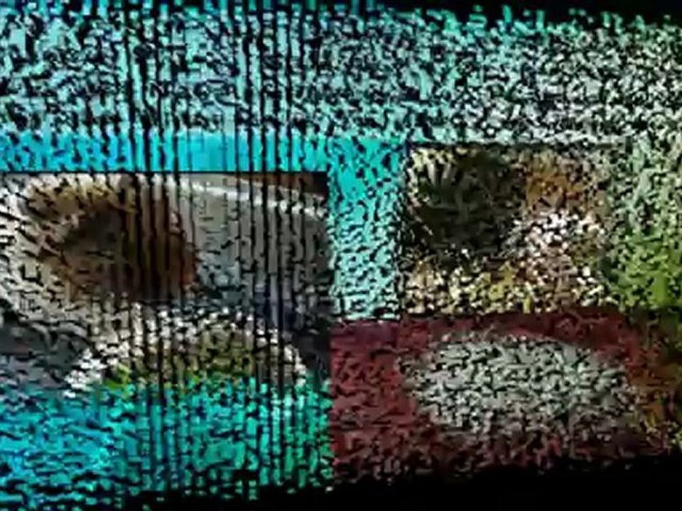 Guinea Pigs Care Mini Course