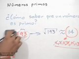 Números primos