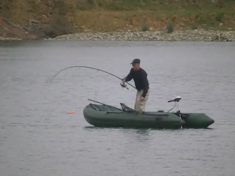 La carpe sur gravière ( session de 10 jours avec Younes )