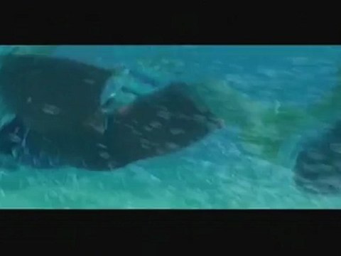 Test qualité du Dazzle DVC 100