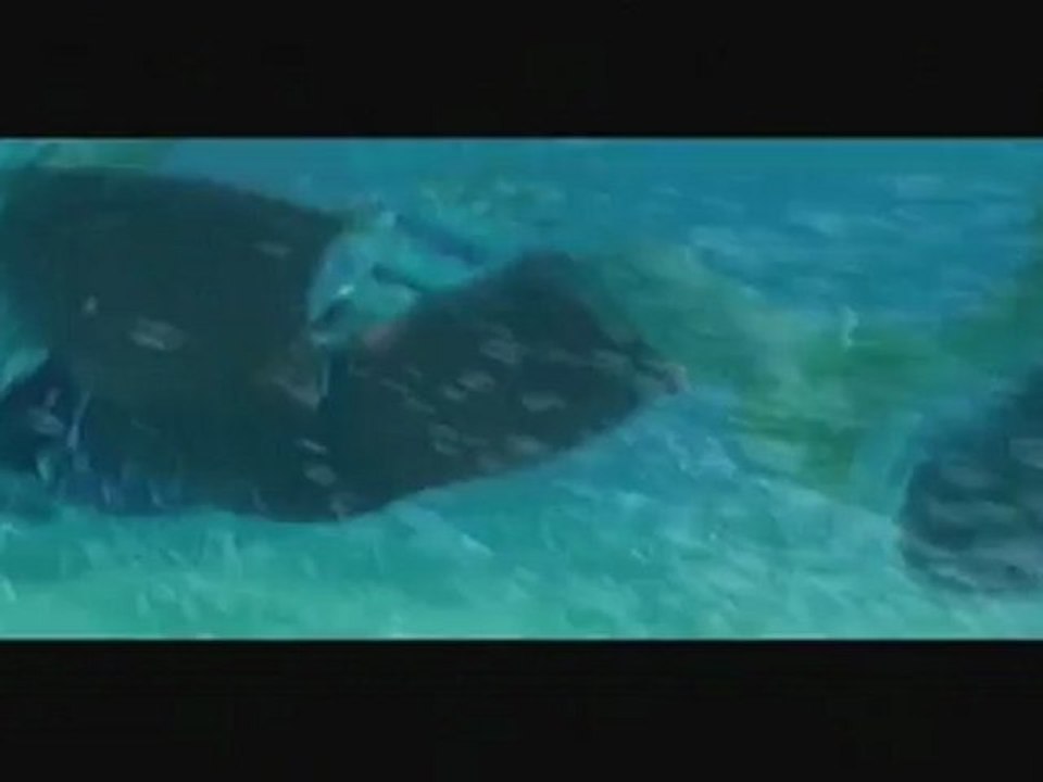 Test qualité du Dazzle DVC 100