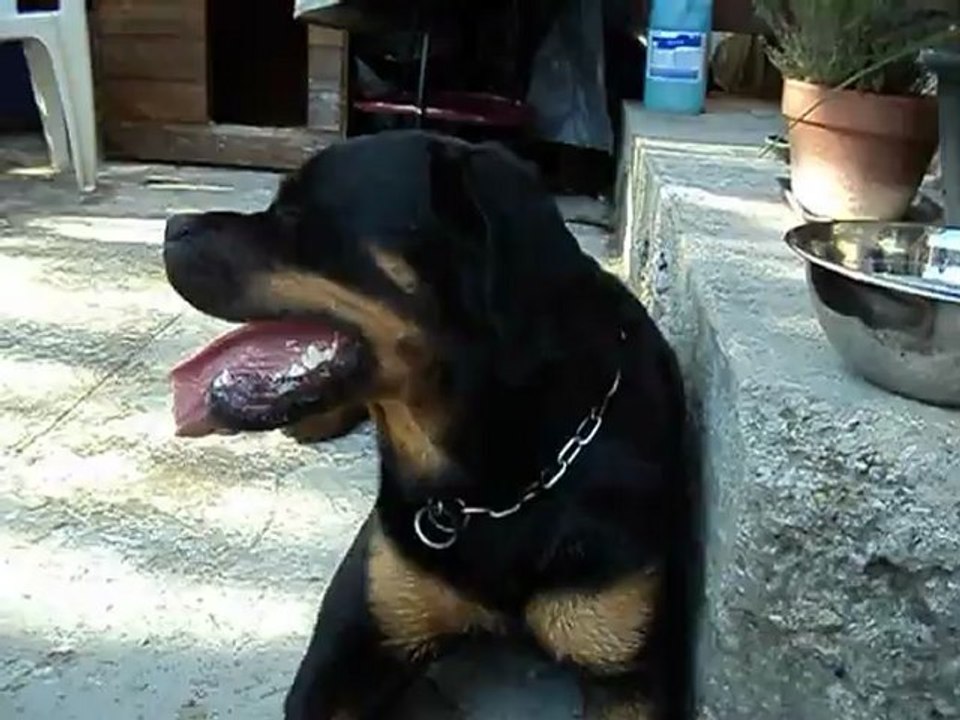 retour de ballade 001