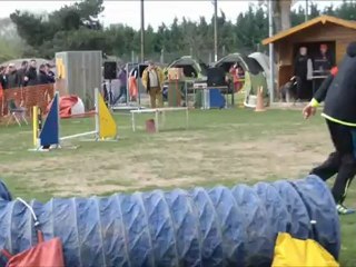 Concours Thionville 2012 - Les borders