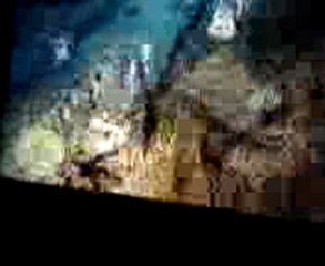 vidéo de red dead redemption zombi