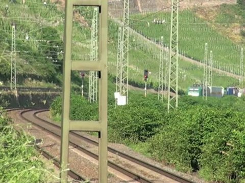 Züge gegenüber Osterspai, 216, 460, 2x 101, MRCE 180, Alpha Trains 145, 2x 185, 151, 428, 120