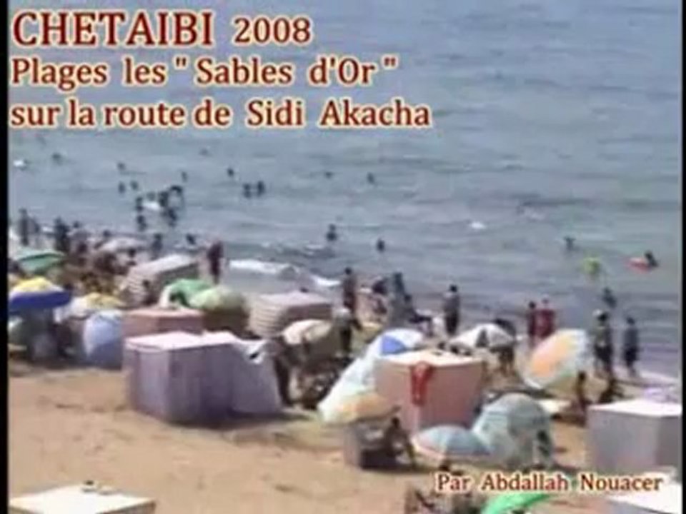 CHETAIBI  NOSTALGIE   ( Chétaibi  ex  Herbillon )