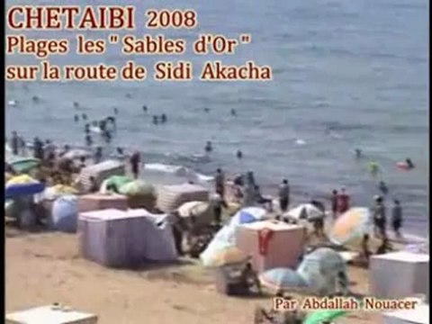 CHETAIBI NOSTALGIE ( Chétaibi ex Herbillon )