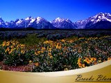Physical Therapist and PTA needed in Idaho Falls, ID. for 13 week assignment