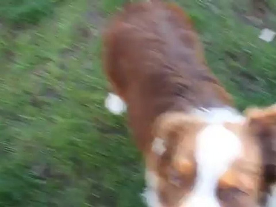 gucci tour de magie ^^