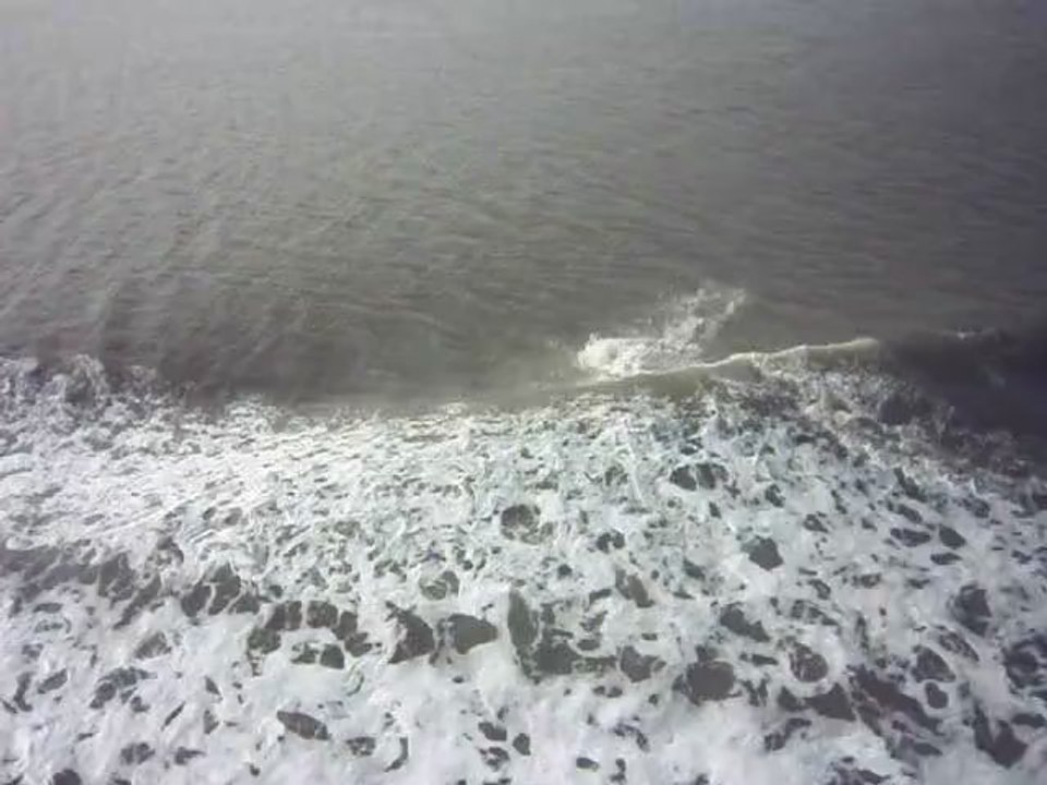 Juliette au Sénégal sur le ferry Aline Sitoe Diatta en compagnie des dauphins