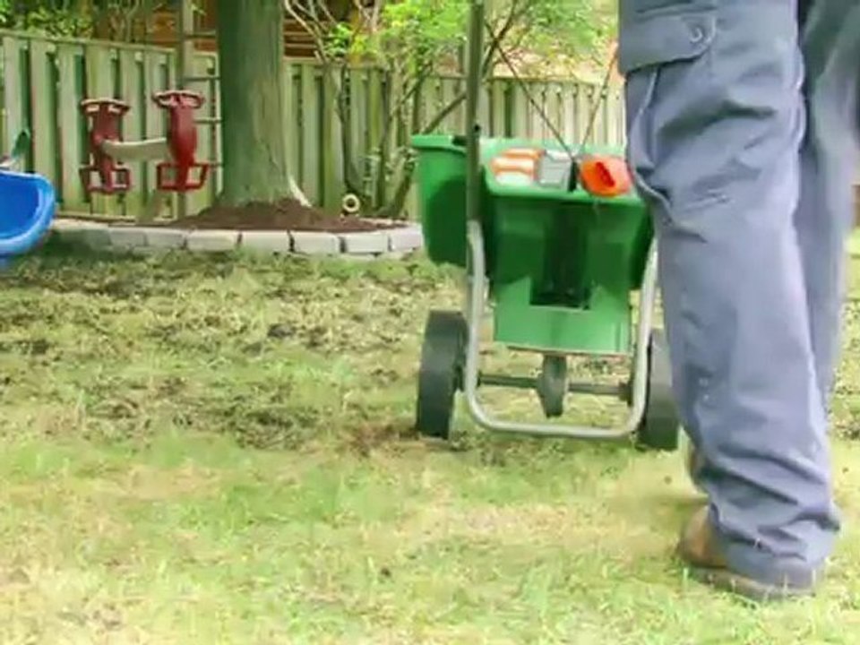 Grass Seed