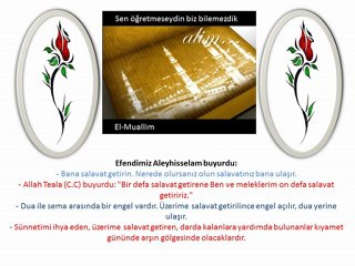 Kutlu Doğum