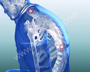 Car Crash Animations / Rear End Collision