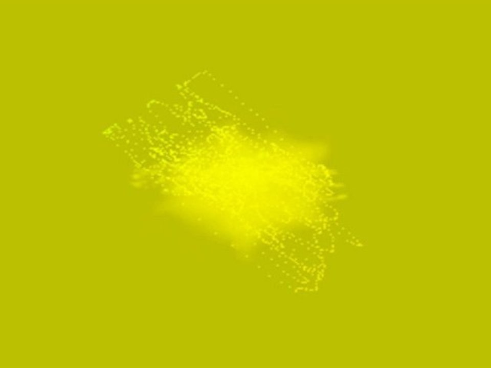 Was 2011 nicht in der Zeitung stand