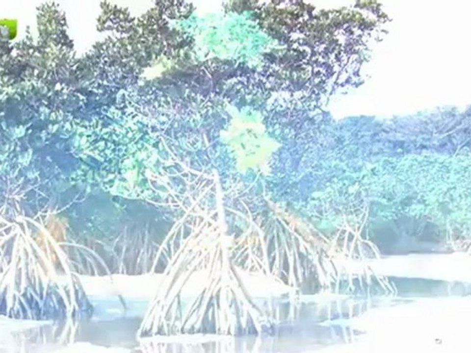 قل للمخلوقات من خلقك