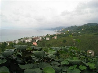 RESUL SARIKOÇ -OY SÜRMENE