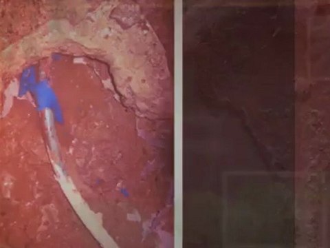 water damage woodland hills local 213-985-2805