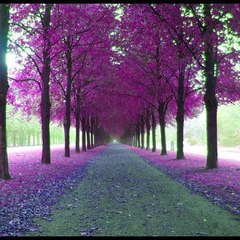 masaj salonu masoz kadıköy istanbul anadolu masaj salonlari