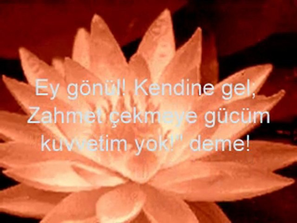 RUMİ 'DEN