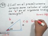 Ejercicio de un triángulo rectángulo con la función