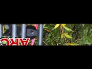 Archery Gear - Bow Stabilizer