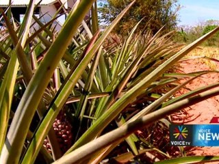 รายการข่าว Voice News  ประจำวันที่  18 เม.ย. 255 (12.00น.)