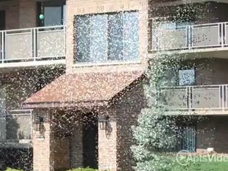 Colonial Village Apartments in Crescent Springs, KY - ...