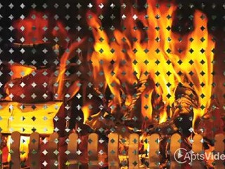 Hampton Downs Apartments in Greensboro, NC - ForRent.com