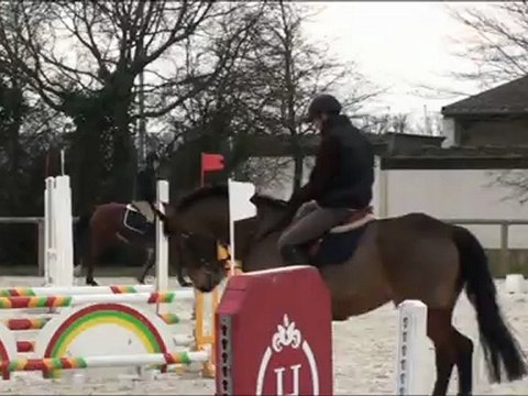 Una Boop entraînement 4 ans St lô février 2012