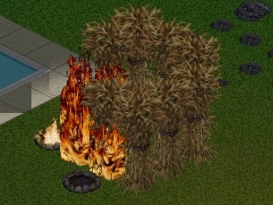 WTF Les Sims 37 - Et paf !