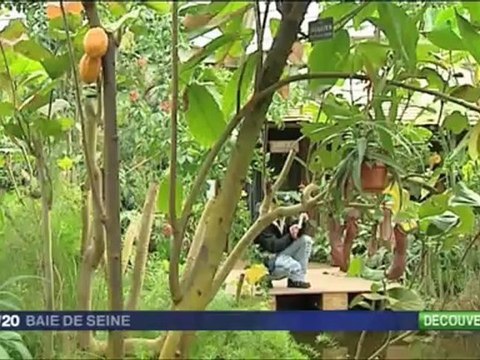 Journal télévisé de France 3 Baie de Seine du lundi 16 avril 2012