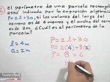 Sustituir valores numéricos en una expresión algebraica